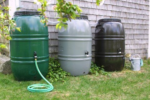 Rain Barrel.JPG